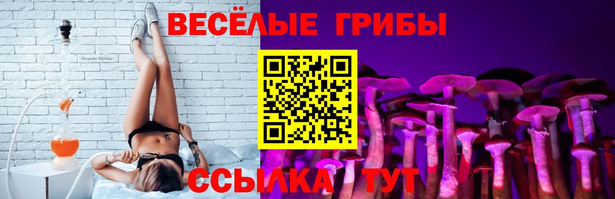 Псилоцибиновые грибы MAGIC MUSHROOMS Верхний Уфалей